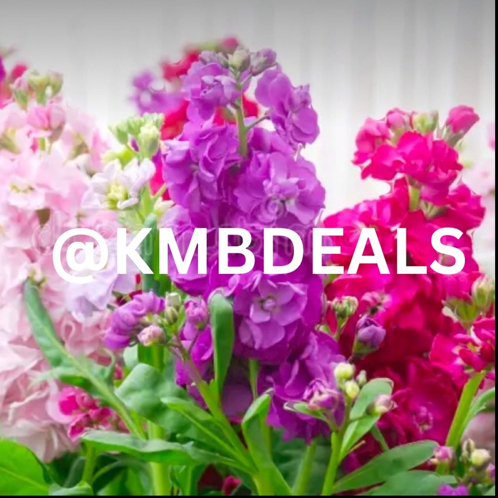 💐UNLISTED ITEM 🌸